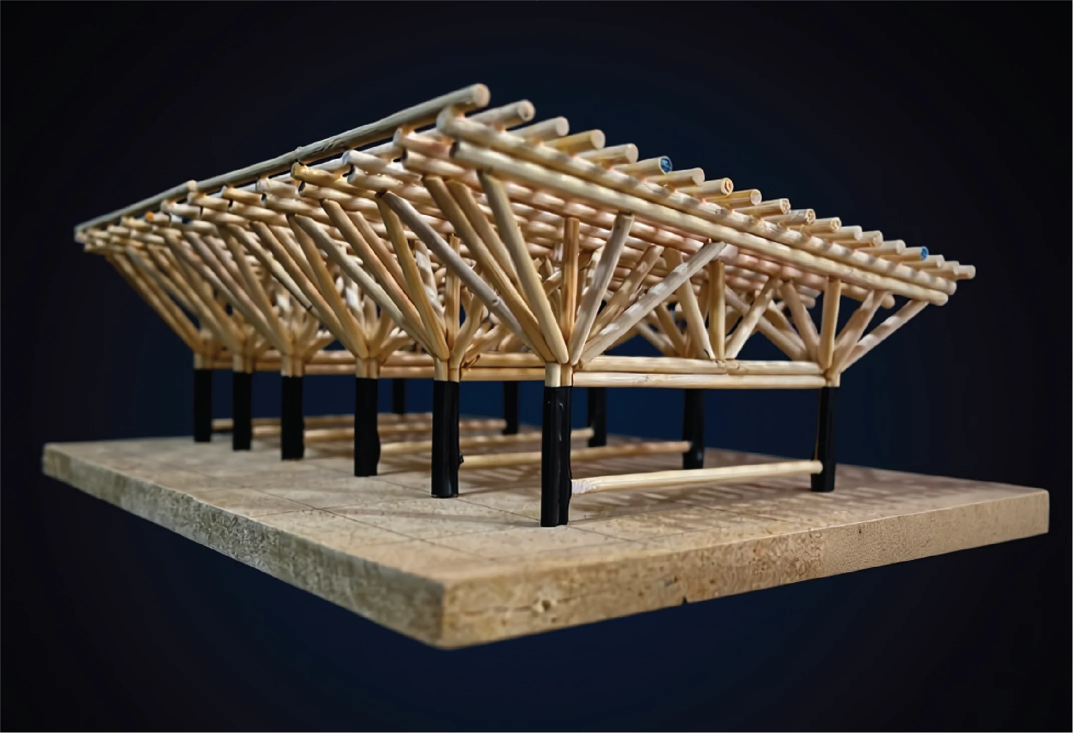 Bamboo Roof 5