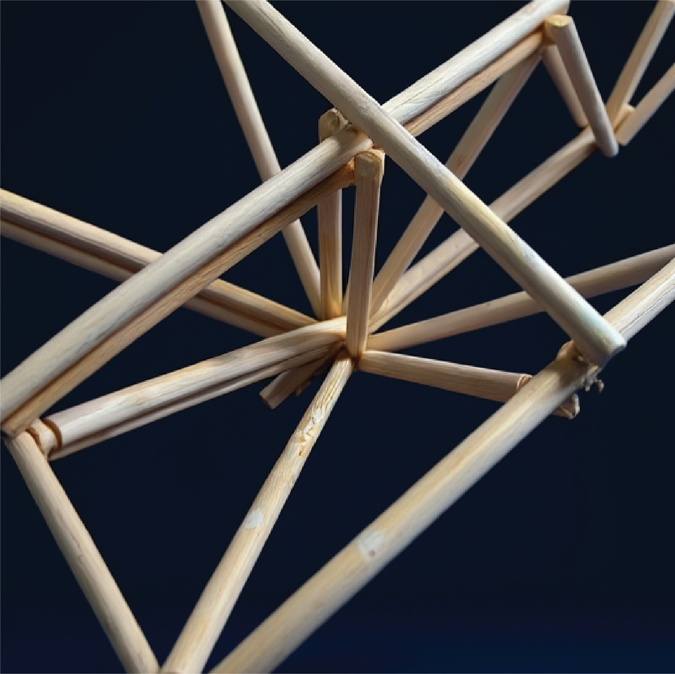 Bamboo Roof 6